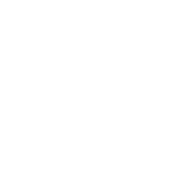 Inizio